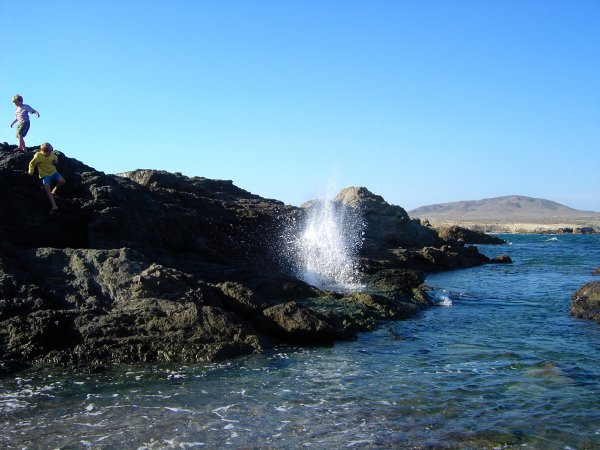 We found the blow hole